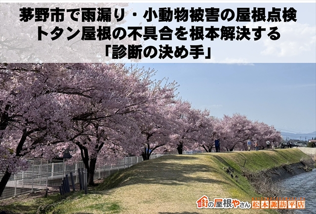 茅野市で雨漏り・小動物被害の屋根点検｜トタン屋根の不具合を根本解決する「診断の決め手」