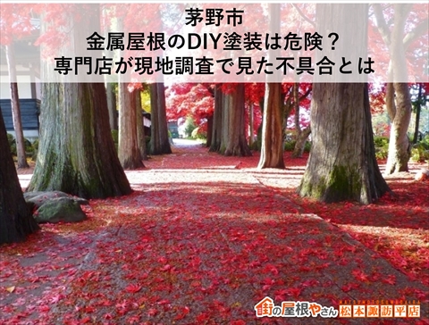 茅野市｜金属屋根のDIY塗装は危険？専門店が現地調査で見た不具合とは