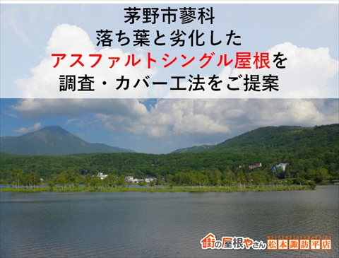 茅野市蓼科|落ち葉たまって劣化したアスファルトシングル屋根を調査・カバー工法をご提案