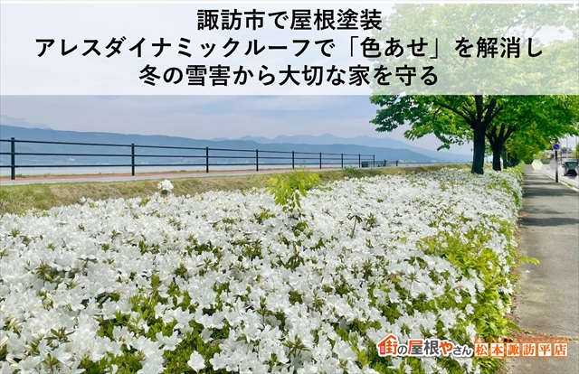 諏訪市で屋根塗装｜アレスダイナミックルーフで「色あせ」を解消し、冬の雪害から大切な家を守る