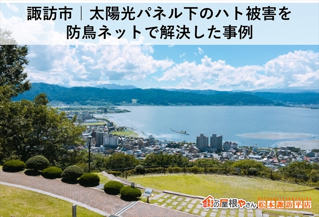諏訪市｜太陽光パネル下のハト被害を防鳥ネットで解決した事例