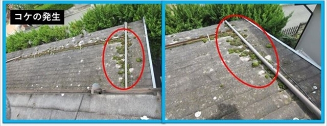 諏訪郡富士見町でリビング天井から雨漏り｜スレート屋根の現地調査5