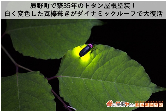 辰野町で築35年のトタン屋根塗装！白く変色した瓦棒葺きがアレスダイナミックルーフで大復活